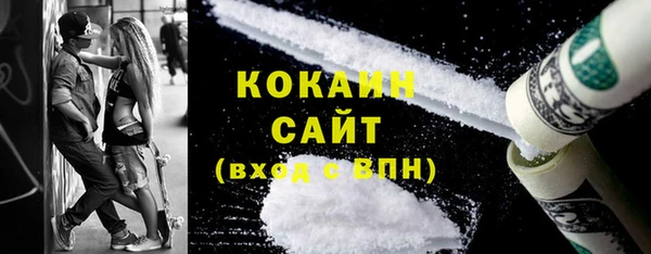 прущие грибы Надым