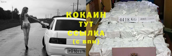 прущие грибы Надым