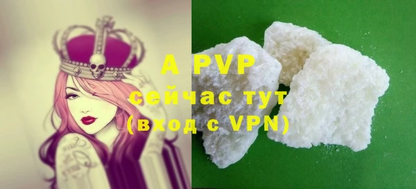прущие грибы Надым
