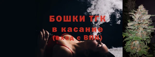 прущие грибы Надым