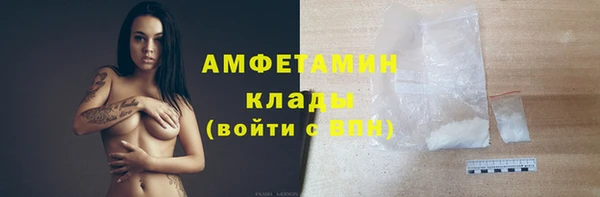 прущие грибы Надым