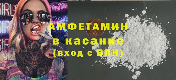 прущие грибы Надым