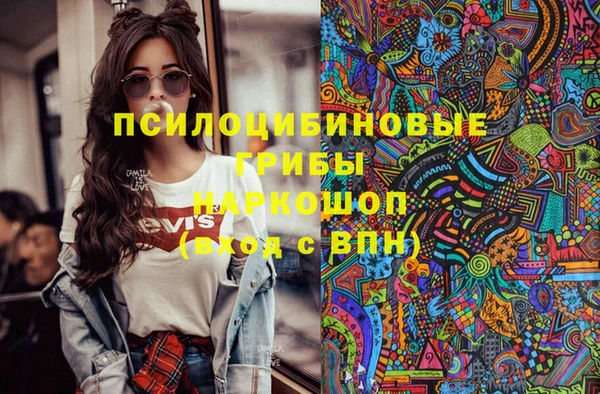 прущие грибы Надым