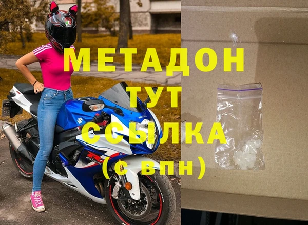 прущие грибы Надым