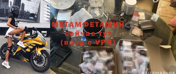 прущие грибы Надым