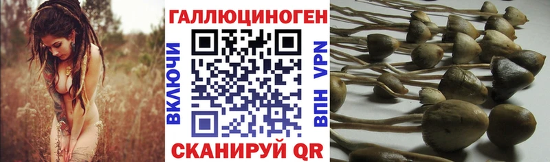 Галлюциногенные грибы Cubensis  Усмань 